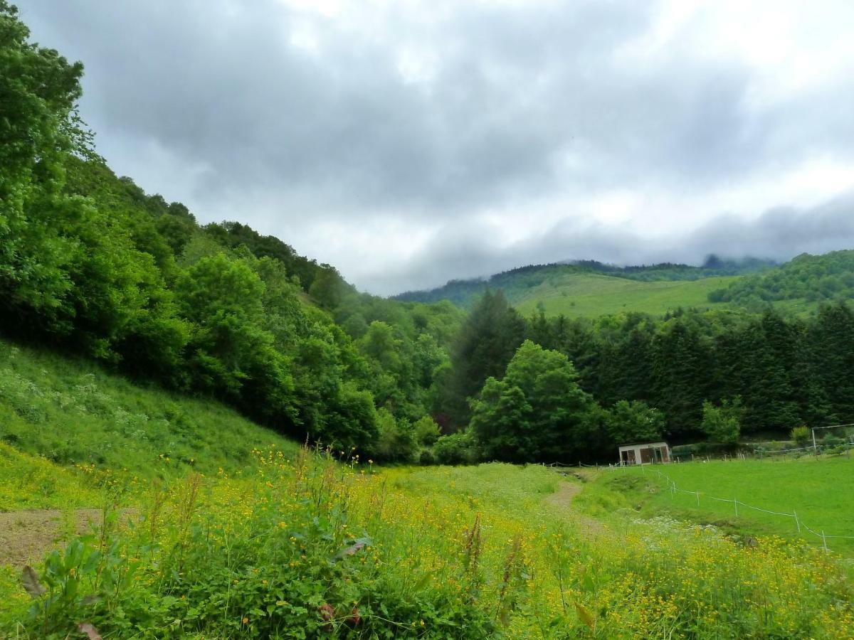 Maison Bergoun Borce Bagian luar foto